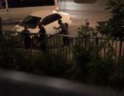  بالفيديو: الشرطة تُطلق النار تجاه شاب في مدينة اللد بعد الاعتداء عليه 